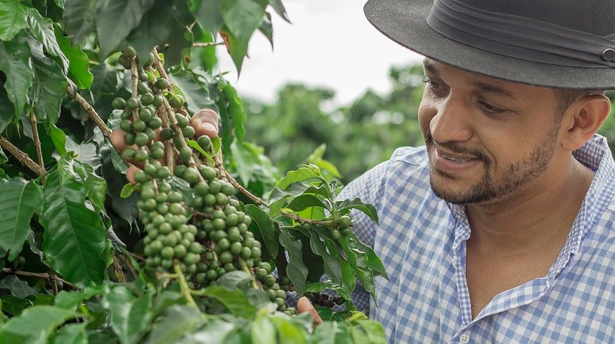 Yara’s low-emission fertilizers make headway in Brazil’s coffee sector