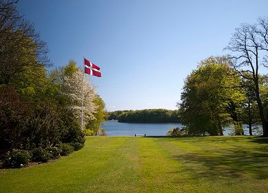Denmark’s $6.1 billion investment plan to reforest farmland and cut emissions