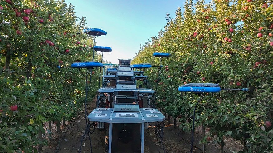 Israeli startup Tevel revolutionizes fruit harvesting with flying autonomous robots