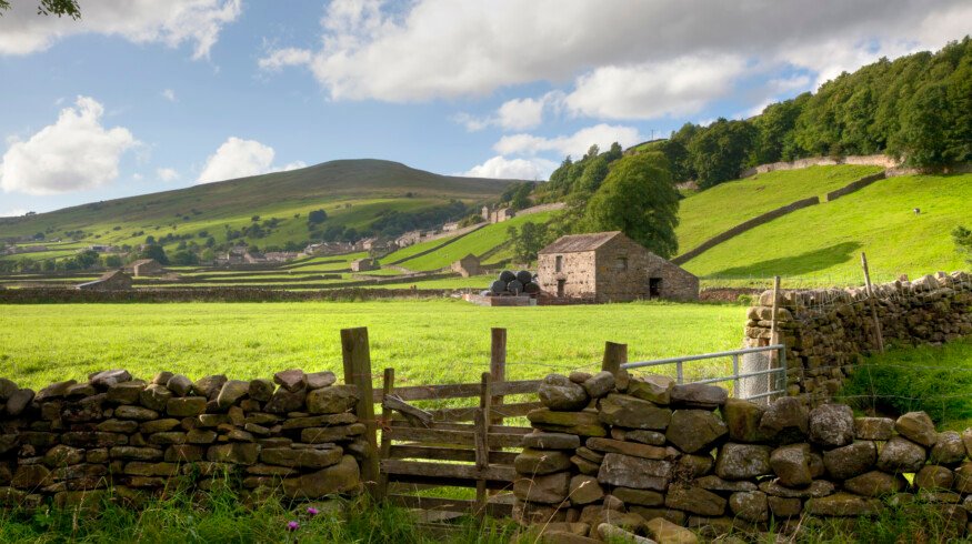 UK banks asked to rethink support for sustainable farming