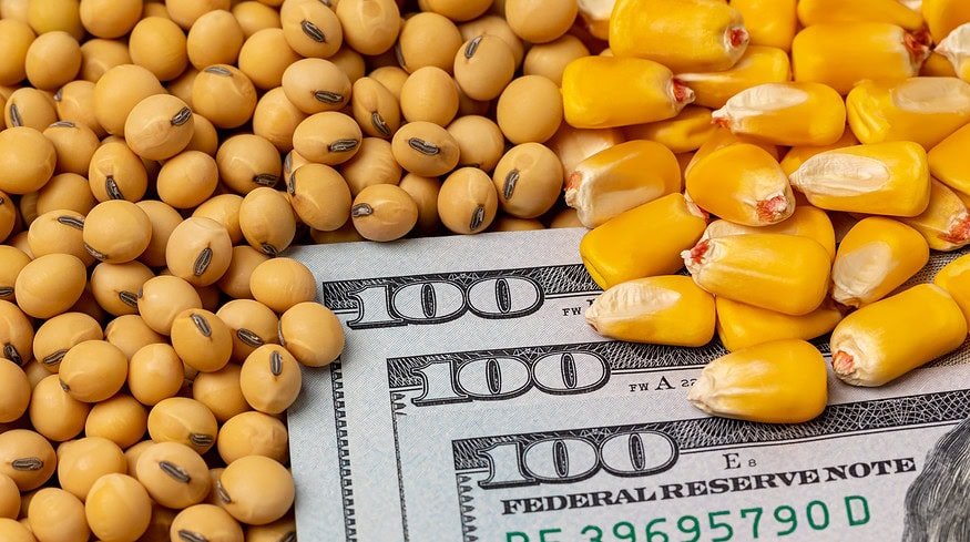 U.S. won a trade dispute against Mexico on imports of genetically modified corn