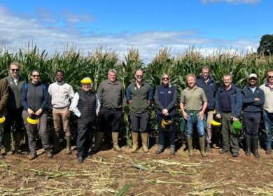 Corteva unveils Broadway Ultra herbicide for 2025 season