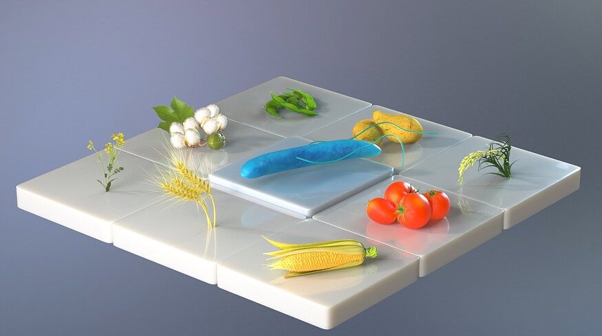 Azotic enters Japan with bio-stimulant push