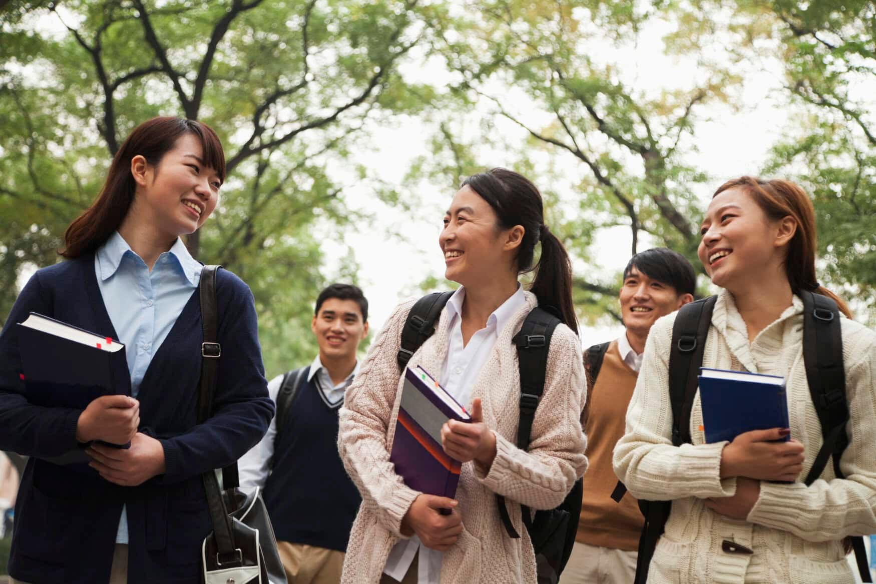 New Pakistani program invites 1,000 agriculture grads to get advanced training in China
