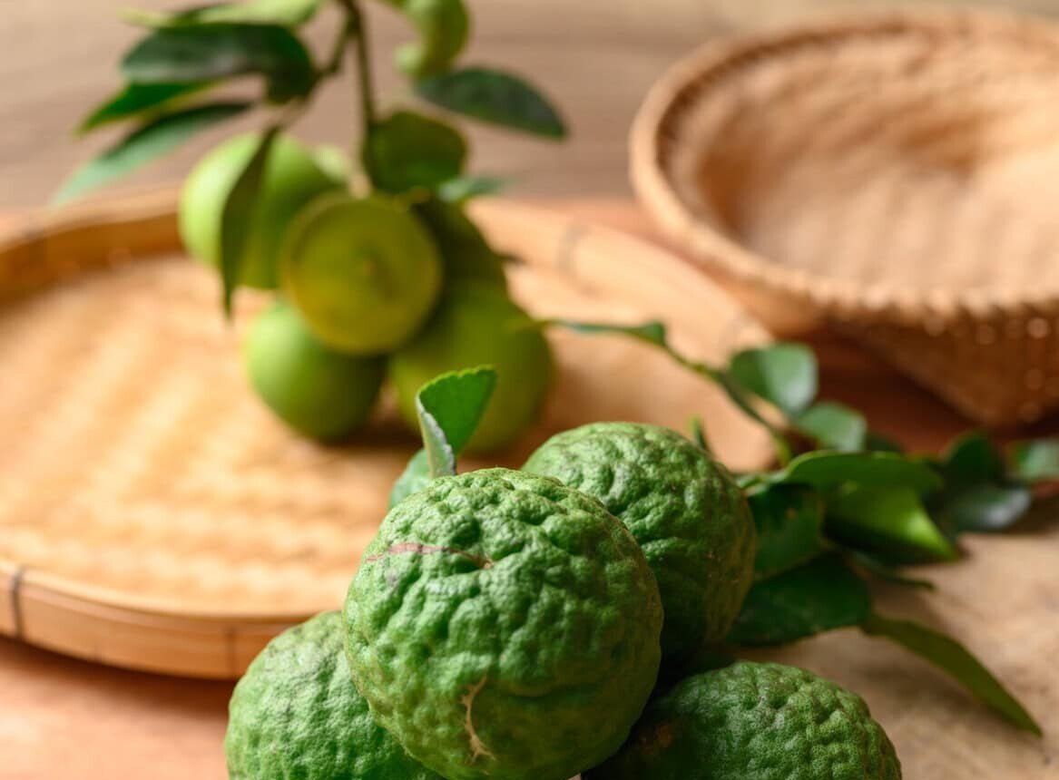 Essential tips for growing kaffir lime leaves at home