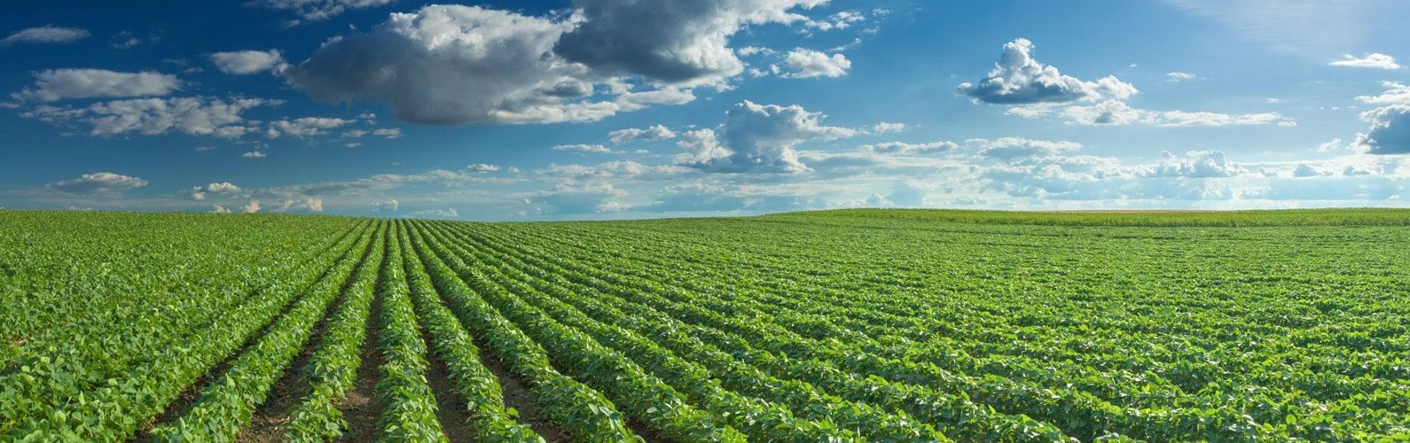 Nufarm announces leadership transition alongside biofuel innovation partnership with bp