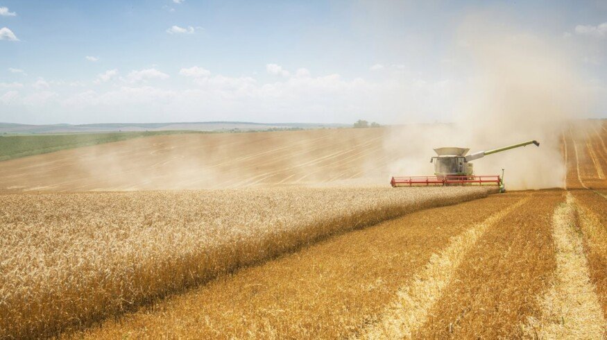 Russia sets strict grain export quotas for 2025