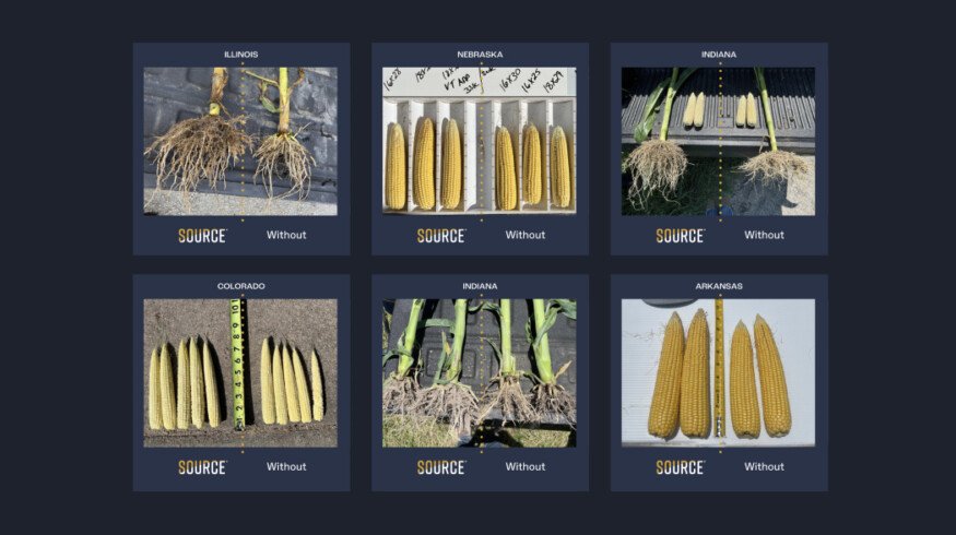 Sound Agriculture raises $25M for its microbial solution that unlocks nitrogen and phosphorus for plants