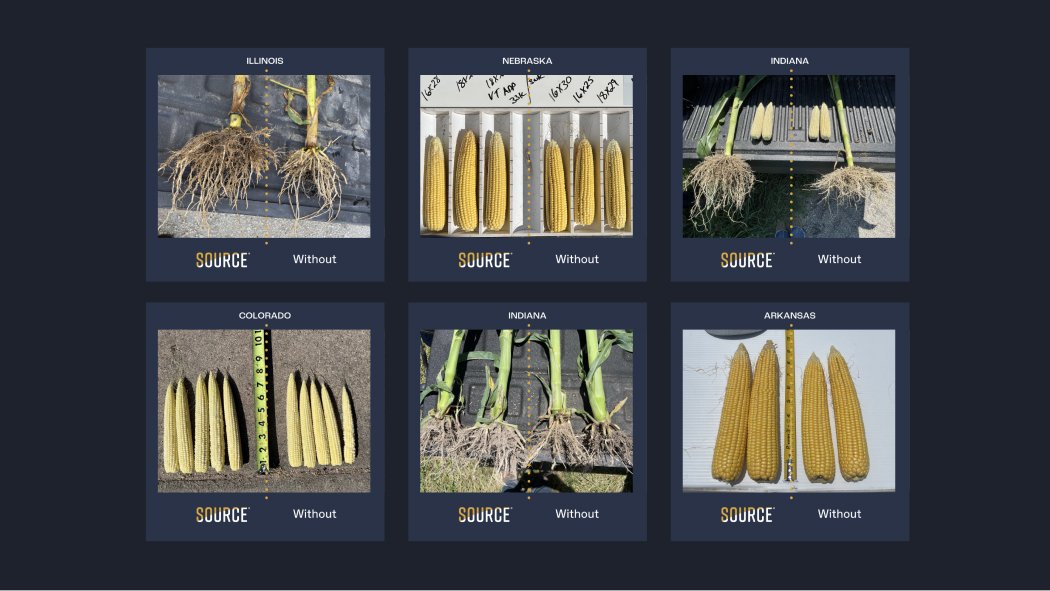 Sound Agriculture raises $25M for its microbial solution that unlocks nitrogen and phosphorus for plants