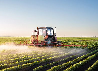 BioConsortia and H&T partner to launch nitrogen-fixing microbial seed treatment in New Zealand