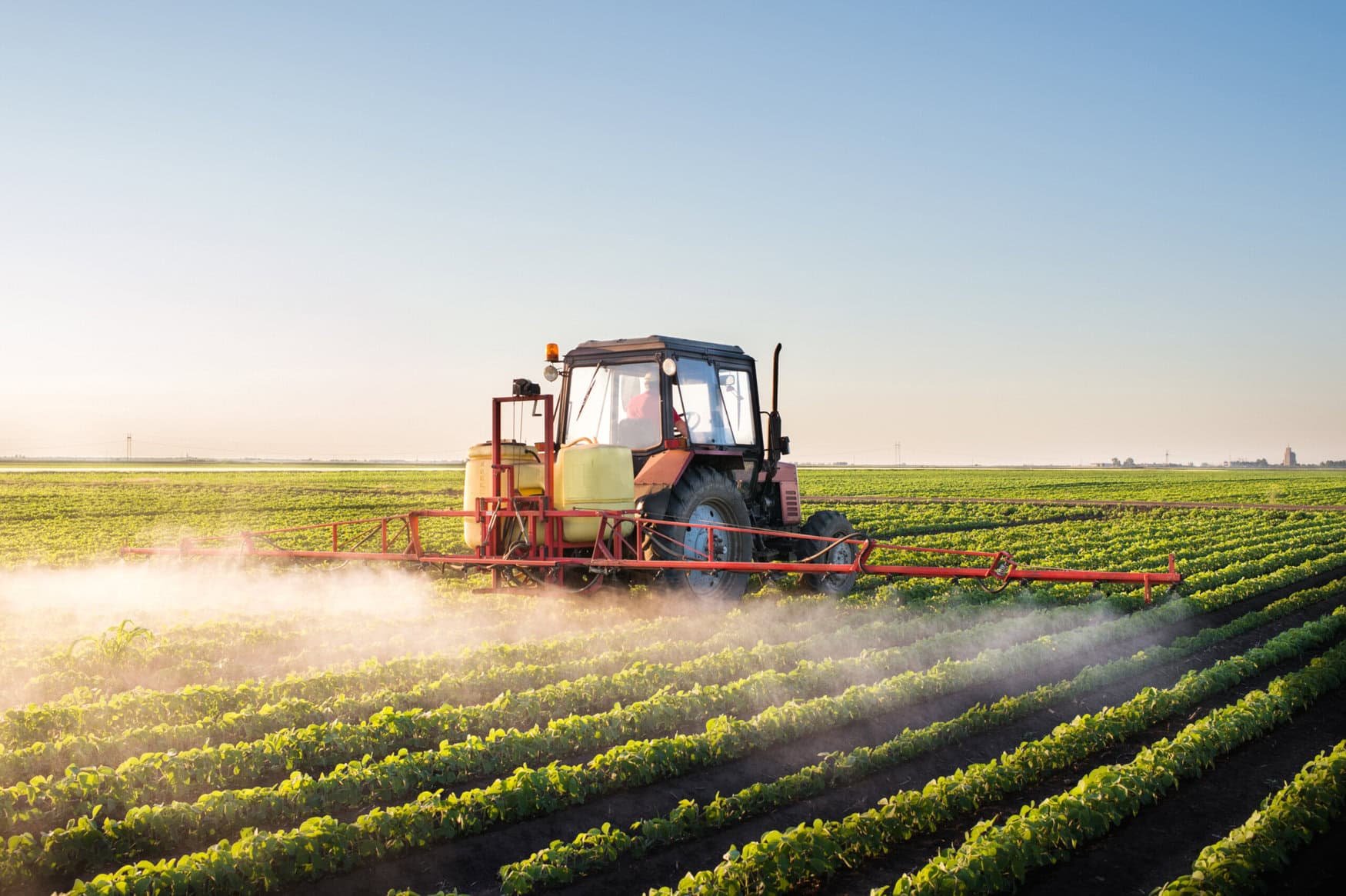 BioConsortia and H&T partner to launch nitrogen-fixing microbial seed treatment in New Zealand