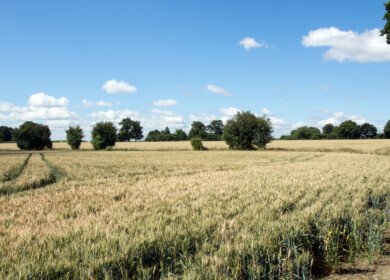 UK farmers face glyphosate resistance challenge for the first time
