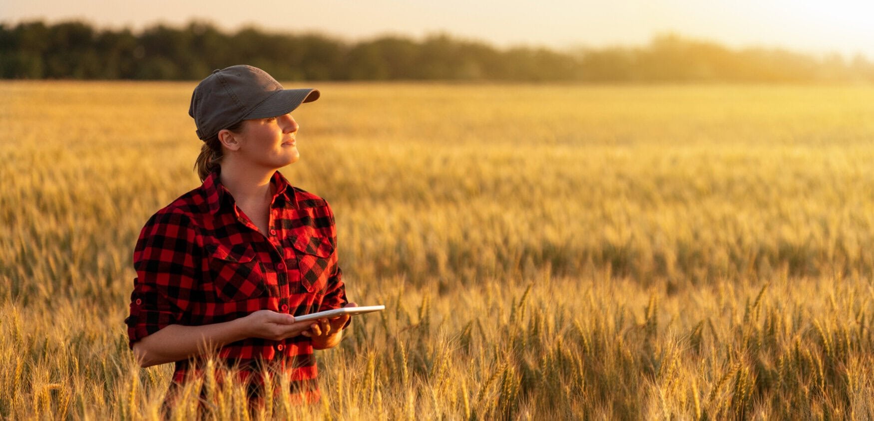 4,400 farmers shared their expectations for 2025 with McKinsey — read the analysis of key agricultural trends