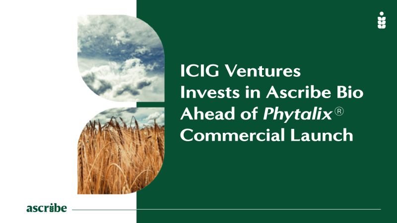 ICIG invests in Ascribe Bio’s Phytalix: a game changer for farmers