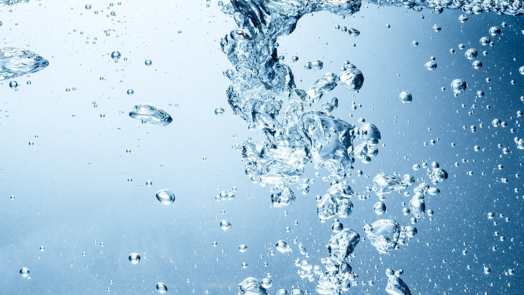 Algae-derived materials offer a new approach to water purification