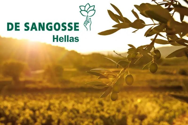 DE SANGOSSE expands operations with Greek subsidiary