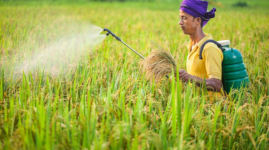 Super Crop Safe introduces Super Gold WP+ biofertilizer to support organic farming in India