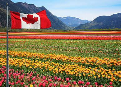 Canada offers farmer support to lower emissions, boost resilience