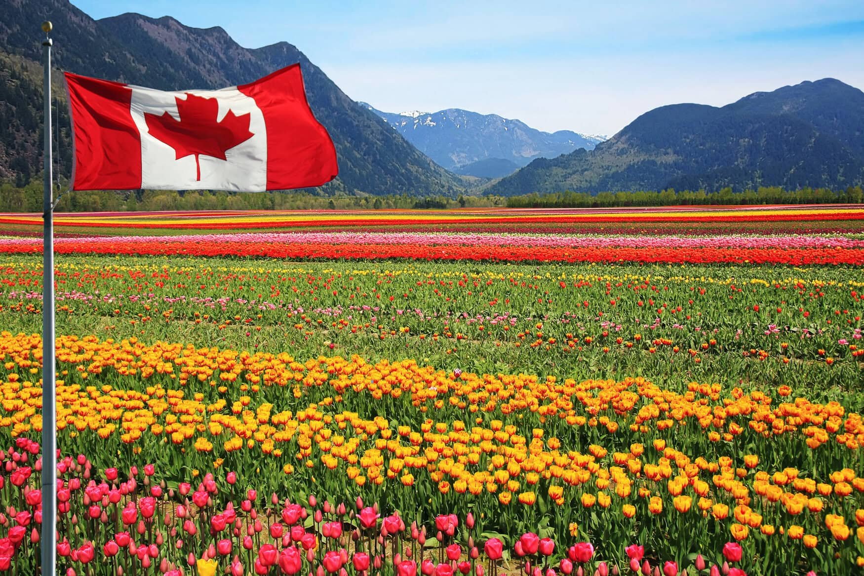 Canada offers farmer support to lower emissions, boost resilience
