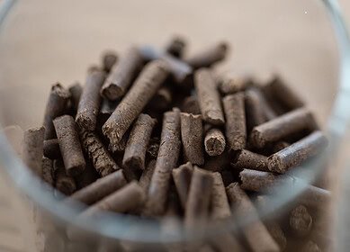 Innovafeed’s Hilucia insect fertilizer proposes new solution for agricultural nutrition and soil regeneration