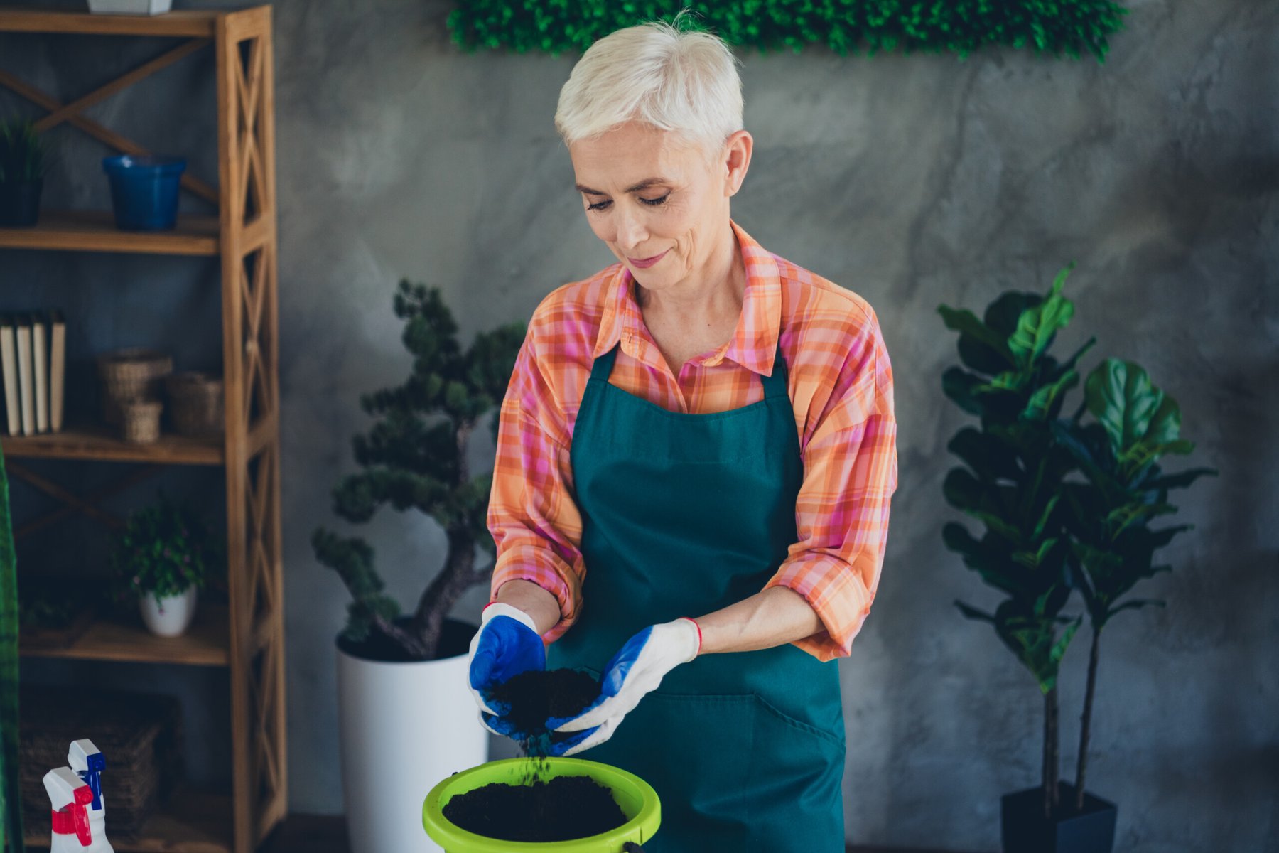 Photo of cheerful happy age woman dressed apron repotting plants indoors home workplace.