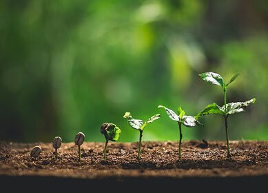 Pakistani microfinance banks forge strategic partners to enhance agricultural support services