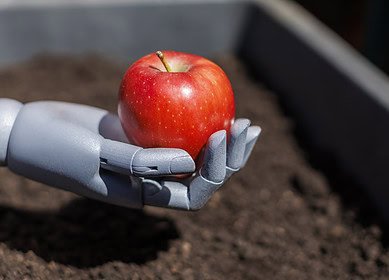 Is large-scale crop harvesting ready for robots?