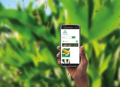 Seedco launches agronomy app for Zimbabwean farmers