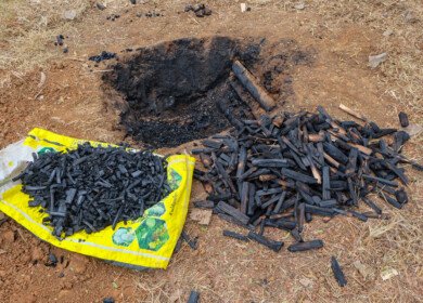 Biochar shown to reduce risks of DDT-contaminated soil