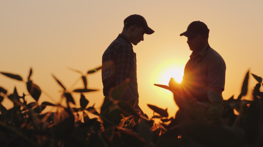 Farmers plan to focus on reducing farm equipment and fertilizer expenses in 2025