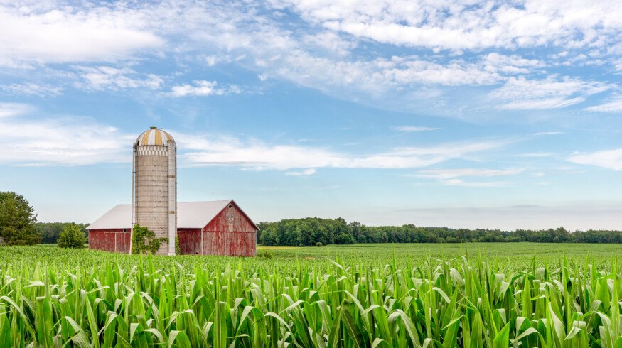 Stanford University study on a pathway to developing drought-resilient U.S. corn varieties