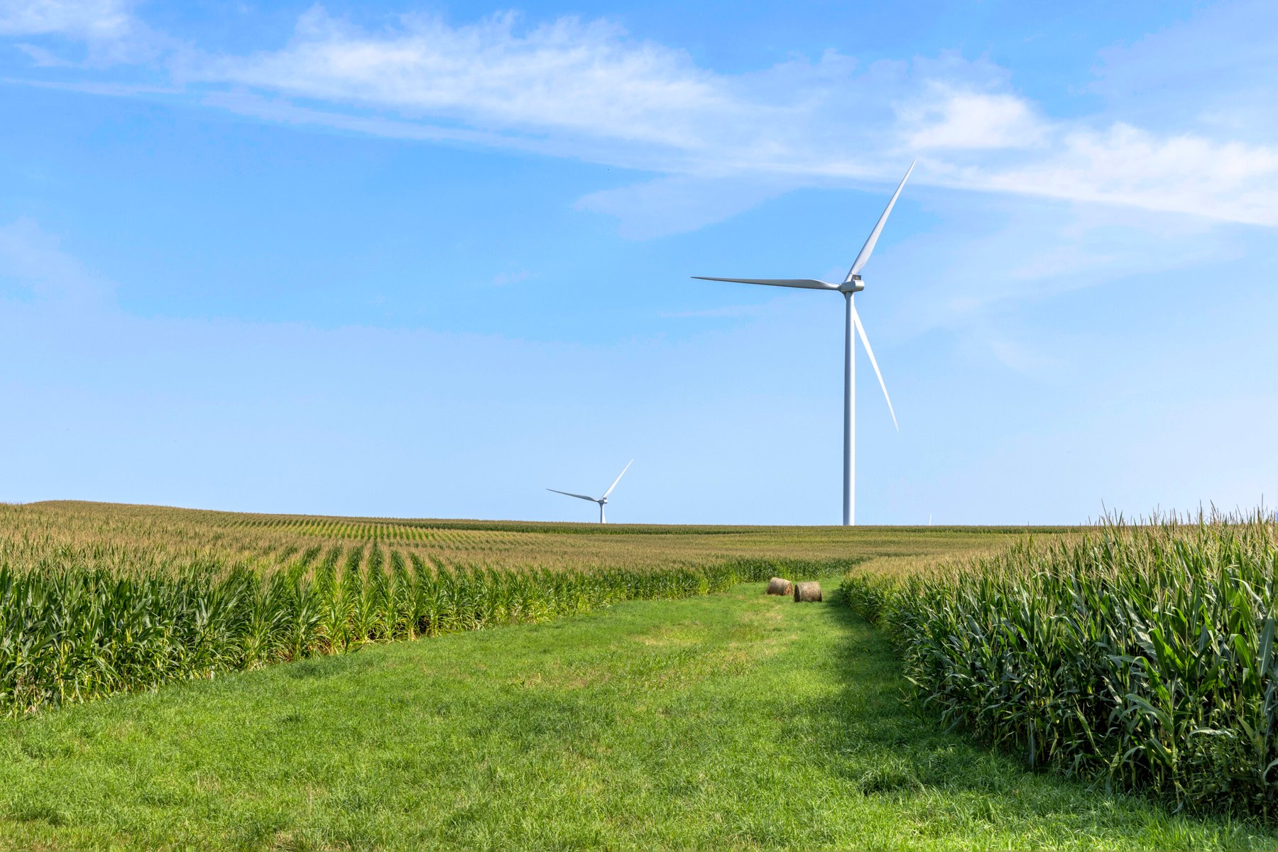 Cornfield Wind Turbine