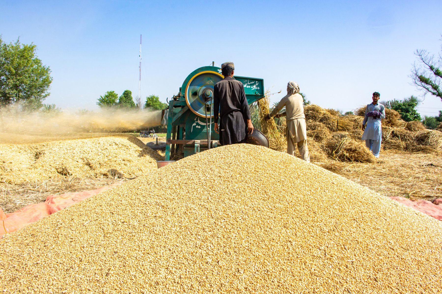 Pakistan’s agriculture sector achieved remarkable growth in 2024, requires support going forward