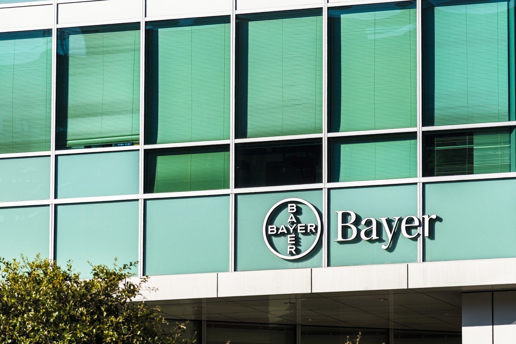 India’s Bayer CropScience reports sharp decline in quarterly profit amid rising costs