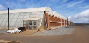 Sensei Ag ambitious agricultural venture faces challenges in Hawaii