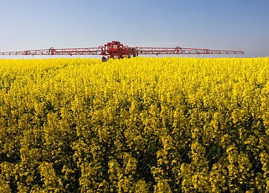 China plans to create new crop varieties of wheat, corn, soybeans and rapeseed utilizing gene-editing tools