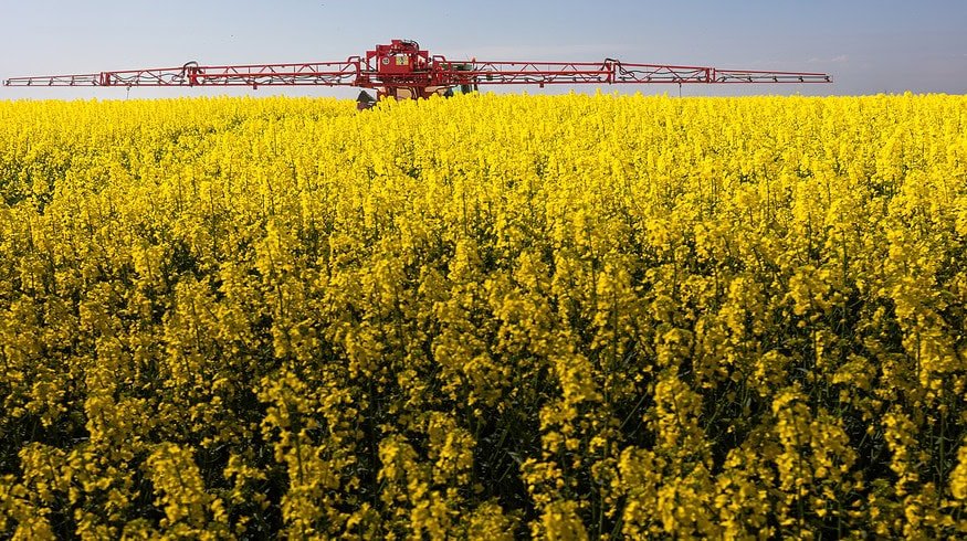China plans to create new crop varieties of wheat, corn, soybeans and rapeseed utilizing gene-editing tools