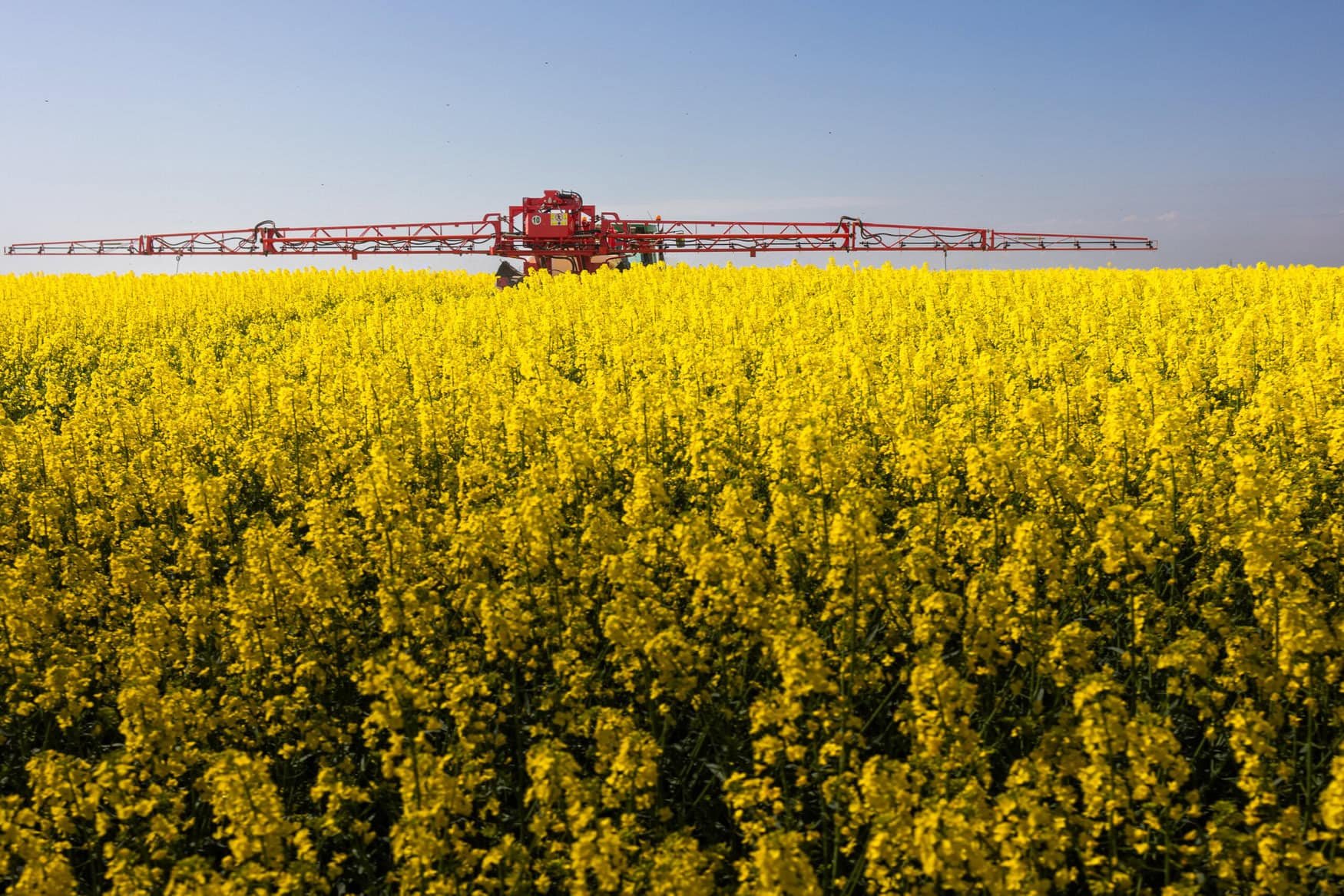 China plans to create new crop varieties of wheat, corn, soybeans and rapeseed utilizing gene-editing tools