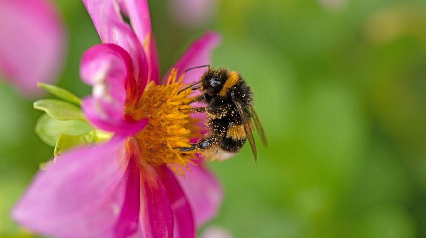 UK government targets 10% reduction in pesticide use by 2030
