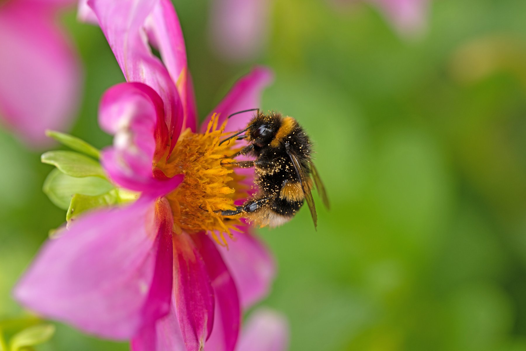 UK government targets 10% reduction in pesticide use by 2030