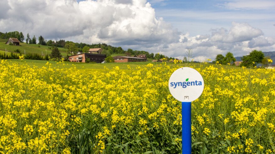 Syngenta Group reports $28.8 billion sales and $3.9 billion EBITDA in 2024