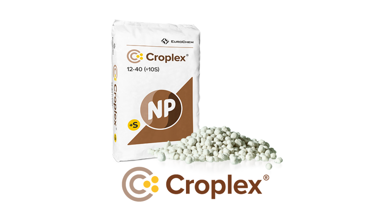 EuroChem launches in Russia new nitrogen-phosphorus fertilizer Croplex