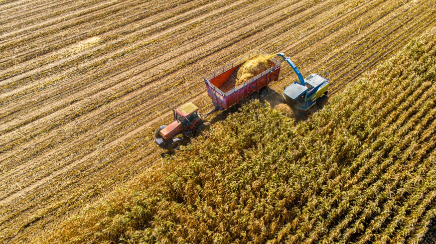 Rising nitrogen requirements in Corn Belt challenge sustainable agriculture