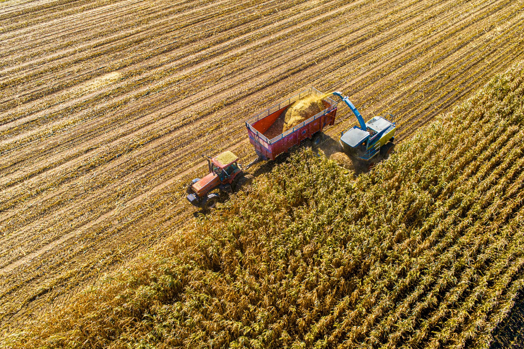 Rising nitrogen requirements in Corn Belt challenge sustainable agriculture