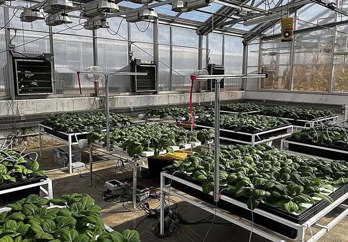Penn State researchers programmed AI models and trained computer vision system to track plant growth