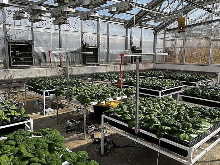Penn State researchers programmed AI models and trained computer vision system to track plant growth