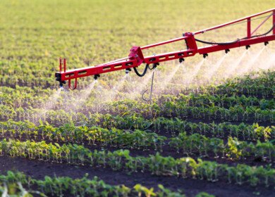 Ascribe Bio’s Phytalix sets new standard in rice disease control