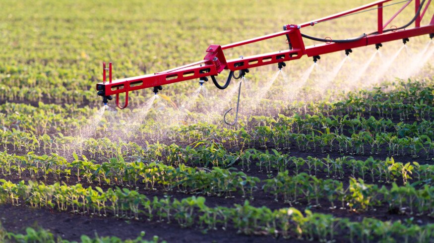Ascribe Bio’s Phytalix sets new standard in rice disease control