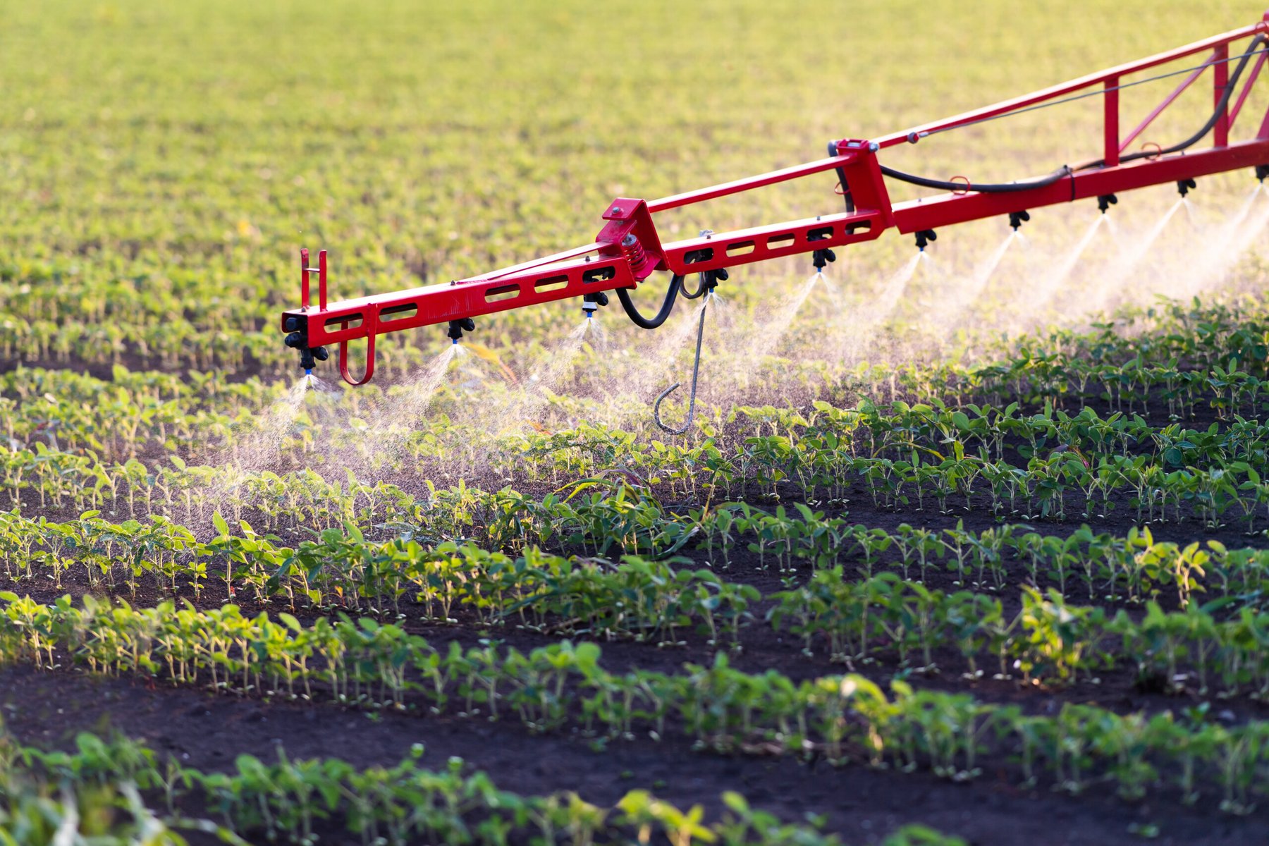 Ascribe Bio’s Phytalix sets new standard in rice disease control