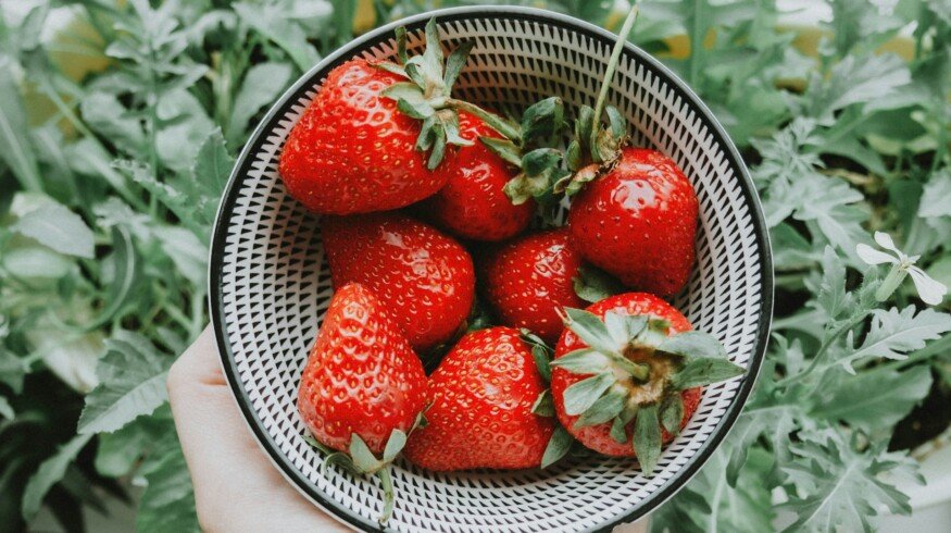 Ohalo partners with industry leaders to accelerate strawberry breeding